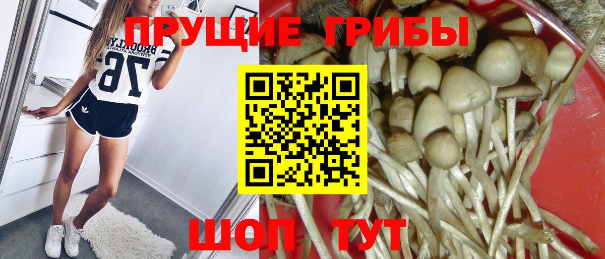 Псилоцибиновые грибы мухоморы Воронеж
